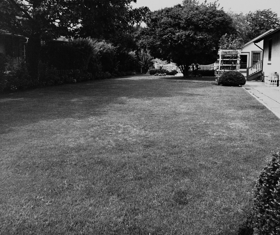 Selling your home when your yard isn’t at its best? - Bruce Croskey Real Estate can help you!